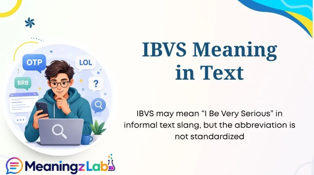 IBVS Meaning in Text