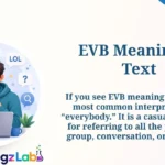 EVB Meaning in Text