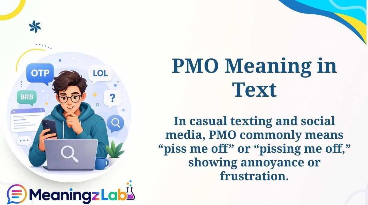PMO Meaning in Text