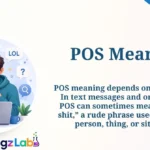 POS Meaning