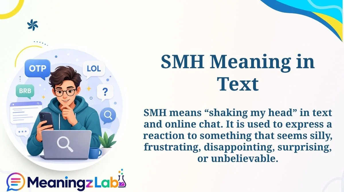 SMH Meaning in Text