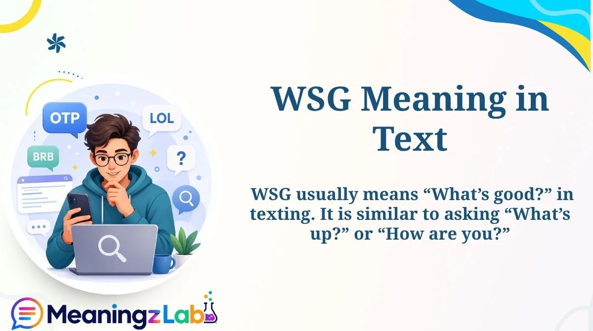 WSG Meaning in Text