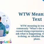 WTW Meaning in Text